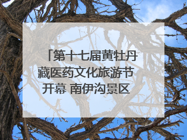 第十七届黄牡丹藏医药文化旅游节开幕 南伊沟景区重新开放