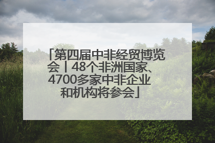 第四届中非经贸博览会丨48个非洲国家、4700多家中非企业和机构将参会