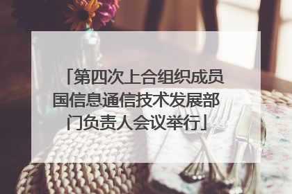 第四次上合组织成员国信息通信技术发展部门负责人会议举行