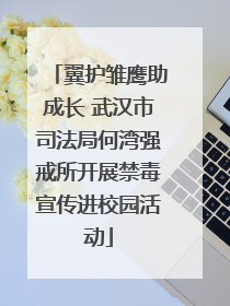 翼护雏鹰助成长 武汉市司法局何湾强戒所开展禁毒宣传进校园活动