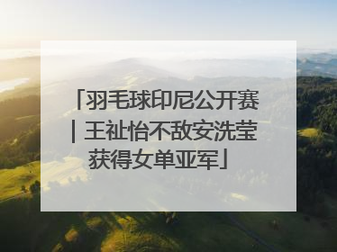 羽毛球印尼公开赛｜王祉怡不敌安洗莹 获得女单亚军