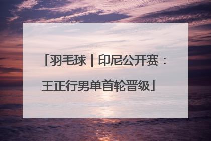 羽毛球｜印尼公开赛：王正行男单首轮晋级