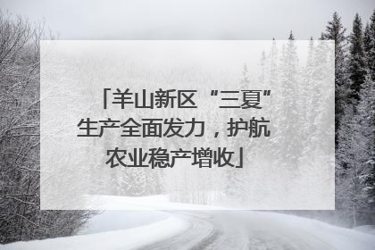 羊山新区“三夏”生产全面发力，护航农业稳产增收