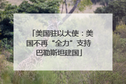 美国驻以大使：美国不再“全力”支持巴勒斯坦建国