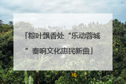 粽叶飘香处“乐动蓉城”奏响文化惠民新曲