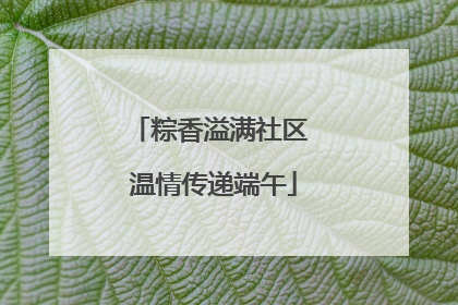 粽香溢满社区 温情传递端午