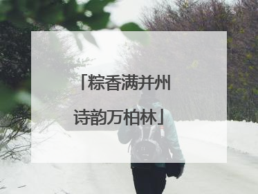 粽香满并州 诗韵万柏林