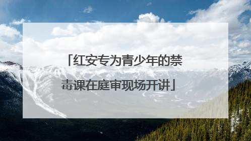 红安专为青少年的禁毒课在庭审现场开讲