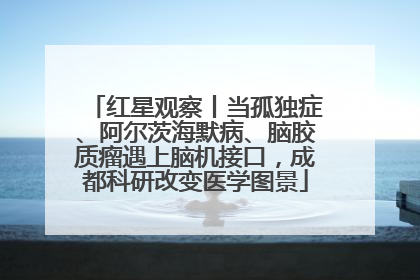 红星观察丨当孤独症、阿尔茨海默病、脑胶质瘤遇上脑机接口，成都科研改变医学图景