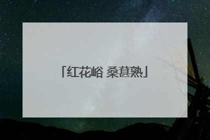红花峪 桑葚熟