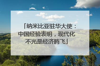 纳米比亚驻华大使：中国经验表明，现代化不光是经济腾飞