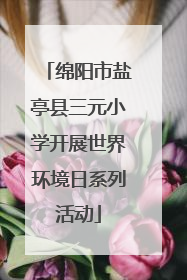 绵阳市盐亭县三元小学开展世界环境日系列活动