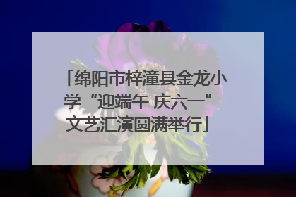 绵阳市梓潼县金龙小学“迎端午 庆六一”文艺汇演圆满举行
