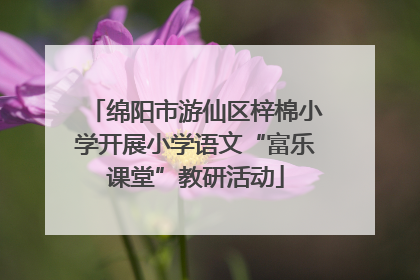 绵阳市游仙区梓棉小学开展小学语文“富乐课堂”教研活动