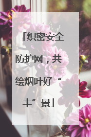 织密安全防护网，共绘烟叶好“丰”景