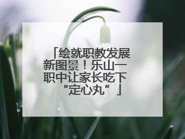 绘就职教发展新图景！乐山一职中让家长吃下“定心丸”