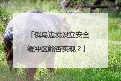 俄乌边境设立安全缓冲区能否实现？
