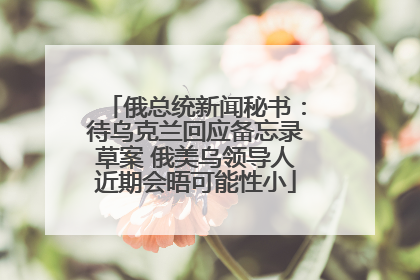 俄总统新闻秘书：待乌克兰回应备忘录草案 俄美乌领导人近期会晤可能性小