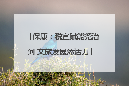 保康：税宣赋能尧治河 文旅发展添活力