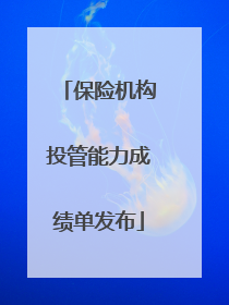 保险机构投管能力成绩单发布
