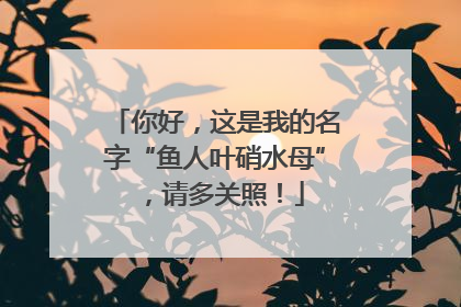 你好，这是我的名字“鱼人叶硝水母”，请多关照！