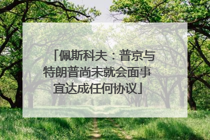 佩斯科夫：普京与特朗普尚未就会面事宜达成任何协议