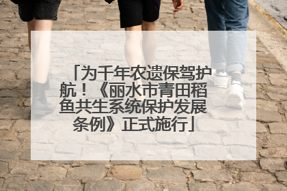 为千年农遗保驾护航！《丽水市青田稻鱼共生系统保护发展条例》正式施行