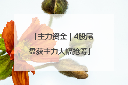 主力资金｜4股尾盘获主力大幅抢筹