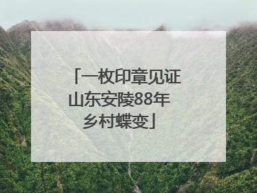 一枚印章见证山东安陵88年乡村蝶变