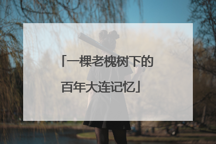 一棵老槐树下的百年大连记忆