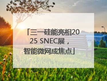 三一硅能亮相2025 SNEC展，智能微网成焦点
