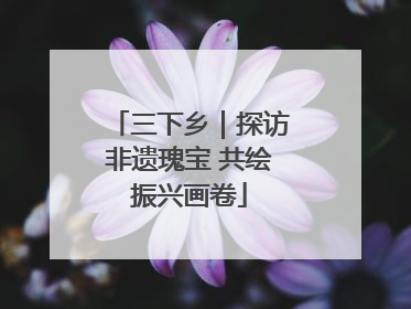 三下乡｜探访非遗瑰宝 共绘振兴画卷