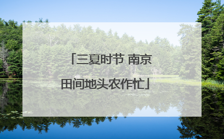 三夏时节 南京田间地头农作忙