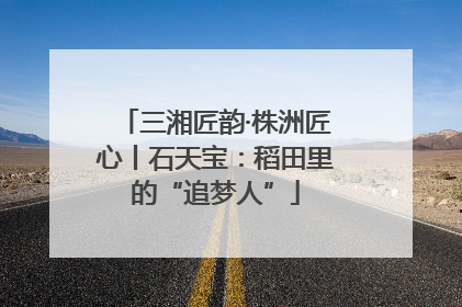 三湘匠韵·株洲匠心丨石天宝：稻田里的“追梦人”