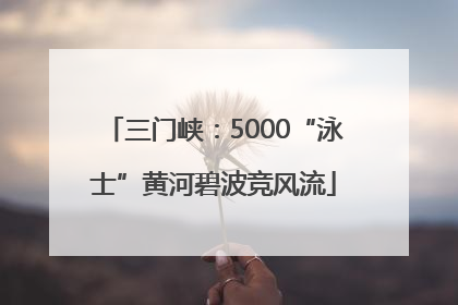 三门峡：5000“泳士”黄河碧波竞风流