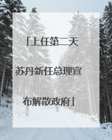 上任第二天 苏丹新任总理宣布解散政府