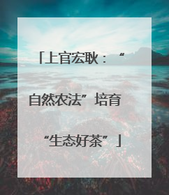 上官宏耿：“自然农法”培育“生态好茶”