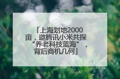 上海划地2000亩，邀腾讯小米共探“养老科技蓝海”，背后商机几何