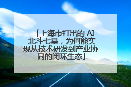 上海市打出的 AI 北斗七星，为何能实现从技术研发到产业协同的闭环生态