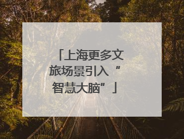 上海更多文旅场景引入“智慧大脑”