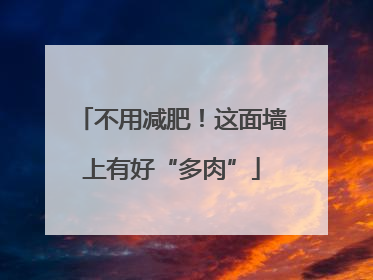 不用减肥！这面墙上有好“多肉”