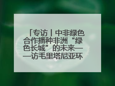专访丨中非绿色合作播种非洲“绿色长城”的未来——访毛里塔尼亚环境部长拉格达夫