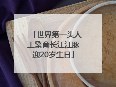世界第一头人工繁育长江江豚迎20岁生日