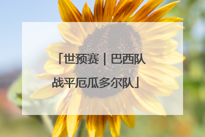 世预赛｜巴西队战平厄瓜多尔队