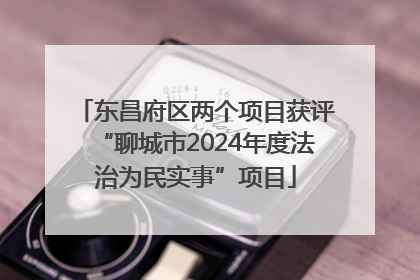 东昌府区两个项目获评“聊城市2024年度法治为民实事”项目