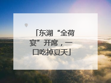 东湖“全荷宴”开席，一口吃掉夏天