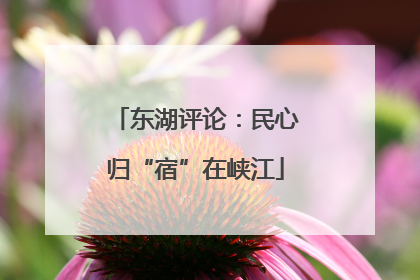 东湖评论：民心归“宿”在峡江