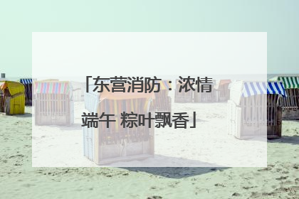东营消防：浓情端午 粽叶飘香