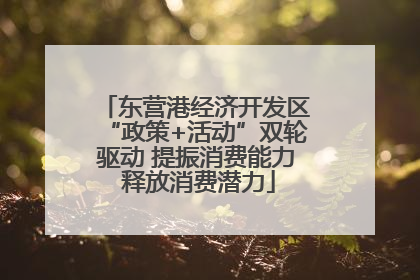 东营港经济开发区“政策+活动”双轮驱动 提振消费能力 释放消费潜力