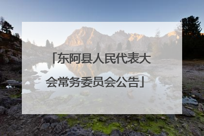 东阿县人民代表大会常务委员会公告